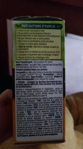 Naturen Procesionaria del Pin