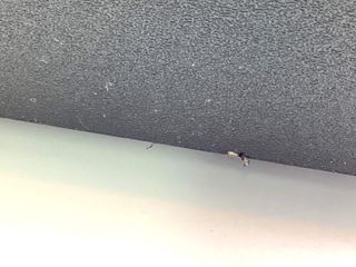 barra sonido otros poseidon d50