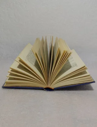 El hombre del traje gris