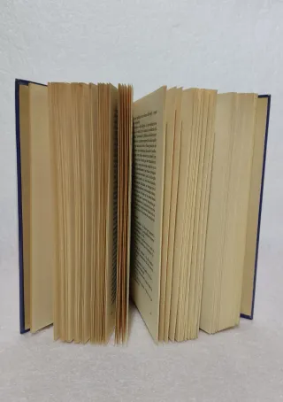 El hombre del traje gris