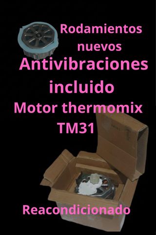 Motor TM31 Antivibraciones Rodamientos Nuevos
