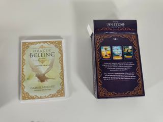 Lote The Rider Tarot Deck U.S. Games Systems Waite