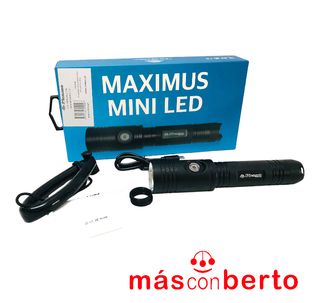 Linterna submarinismo Picaso Maximus Mini Led