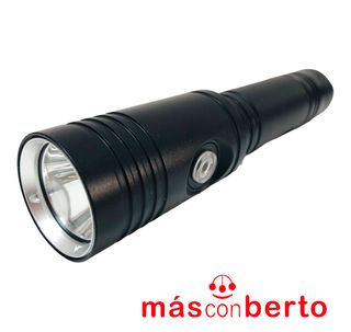 Linterna submarinismo Picaso Maximus Mini Led