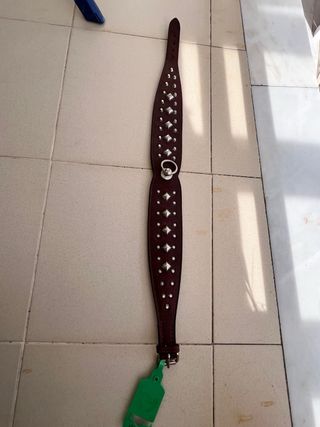 Coleira de couro para cão com tachas