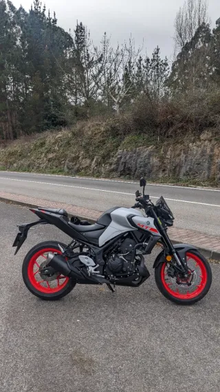 Yamaha MT-03 ice fluo