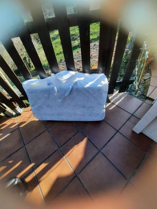 Jane Capazo, Huevito y Silla Rider