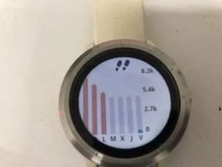 Reloj Garmin Plata y Blanco