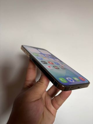 iPhone 13 Pro Max Oro