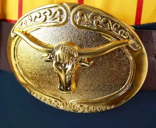 Disfraz Toy Story Jessie Talla S