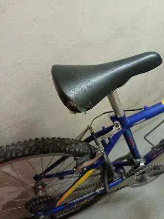 Bicicleta de montaña