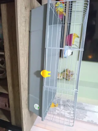 Jaula cobaya casi nueva