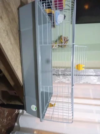 Jaula cobaya casi nueva