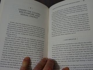 Heavily Meditated The Fast Path to Remove Your ...