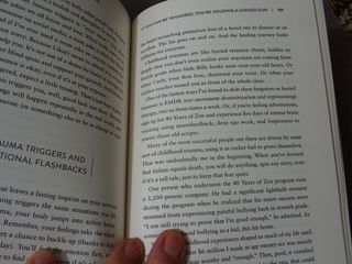 Heavily Meditated The Fast Path to Remove Your ...