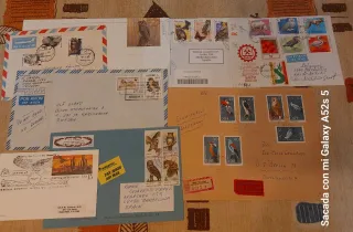 8 piezas circuladas Buhos