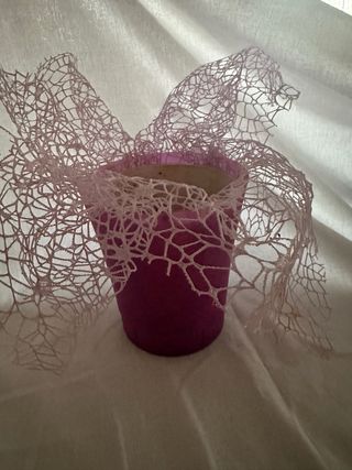 Maceta orquídeas y maceta plantas, plástico