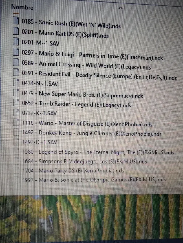 Nintendo DS Lite Rosa + 22 Juegos