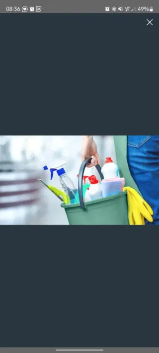 Limpieza domésticas