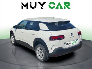 Citroen C4 Cactus BlueHDi 100 S&S Feel 73 kW (99 CV)