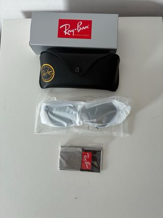 Gafas de sol Ray-Ban Erik