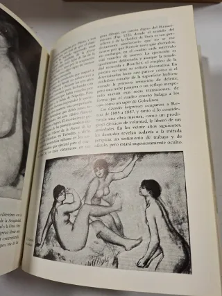 El desnudo: Un estudio de la forma ideal (Alian...