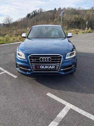 Audi SQ5 2016