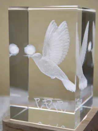 Cubo cristal K9 personalizado pájaro