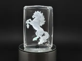 Cubo cristal K9 personalizado pájaro