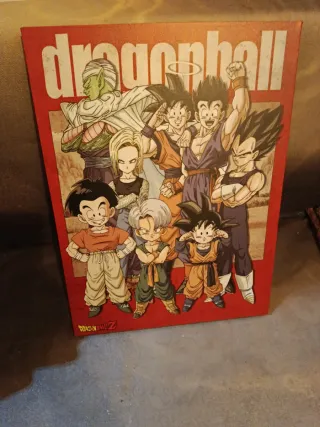 Lienzo Dragon Ball Z