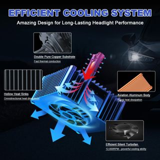 Bombillas LED D5S/D5R TECTICO 6000K CANBUS