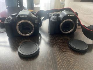 Cámaras Canon EOS con Lentes y Tapas