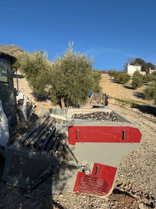 Criba Limpiadora Aceituna LIM. C. Sist. Patentado