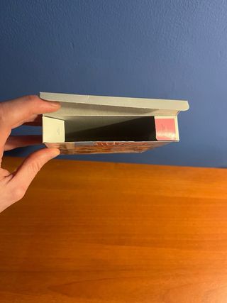 Astérix: En busca de Idefix - Game Boy Color