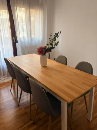 Mesa comedor y 6 sillas