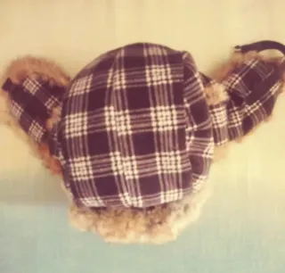 Gorro Algodón conejo invierno