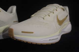 Zapatillas Nike Air Pegasus 41 Talla 41