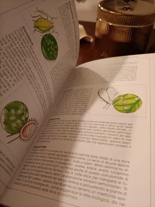 Piante per balconi e giardini. Conoscere, ricon...