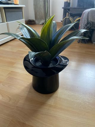 Centro de mesa negro y verde