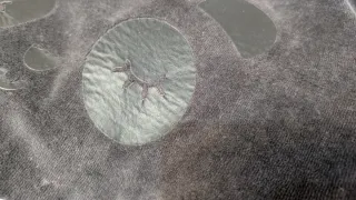 Pijama oso panda calentito algodón T13/14