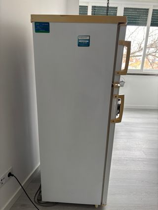 Frigorífico Fagor Classe A+ Usado