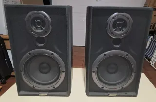 Altavoces Samsung Negros