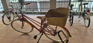 Bicicleta BH Gacela 7 velocidades con luz