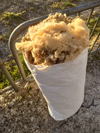 Lana de oveja natural sin lavar