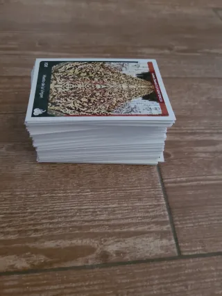 Lote 131 Holycards Córdoba 2024