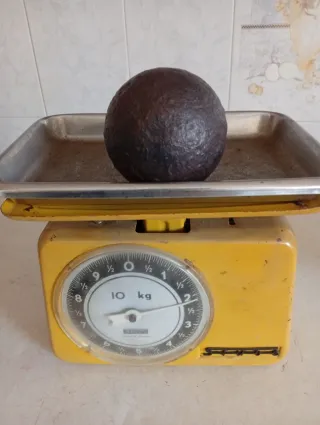 Bala de Cañón +200 años