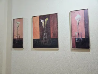 Cuadros a juego triptico