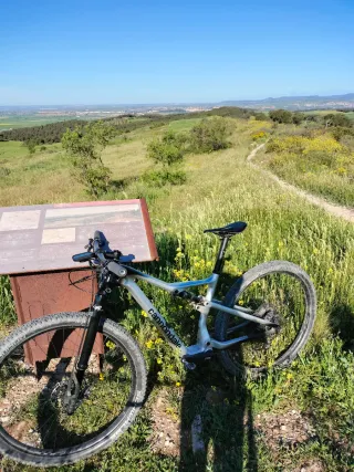 Cannondale Scalpel Carbon 3