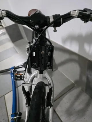 Bicicleta Infantil Early Rider 16 (con Trailgator)