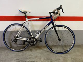 Bicicleta Orbea Asphalt